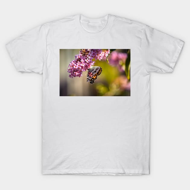 American Lady Butterfly T-Shirt by blossomcophoto